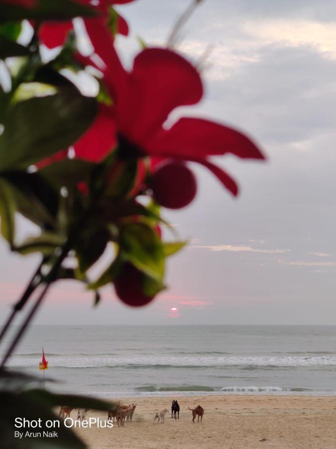 Happy Shack Beach And Wooden Huts Colva Ngoại thất bức ảnh